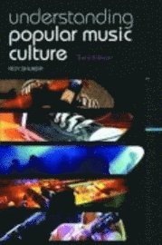 bokomslag Understanding popular music culture