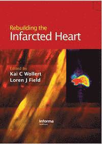 bokomslag Rebuilding the Infarcted Heart