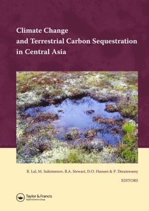 bokomslag Climate Change and Terrestrial Carbon Sequestration in Central Asia