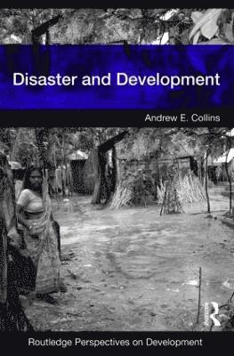 bokomslag Disaster and Development