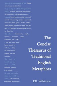 bokomslag Concise Thesaurus of Traditional English Metaphors