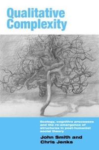 bokomslag Qualitative Complexity