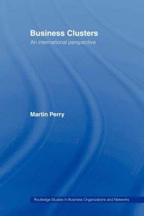 Martin Perry - Business Clusters, Häftad