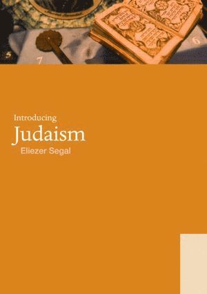 bokomslag Introducing Judaism