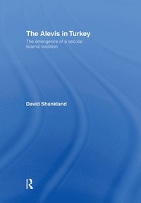 bokomslag The Alevis in Turkey