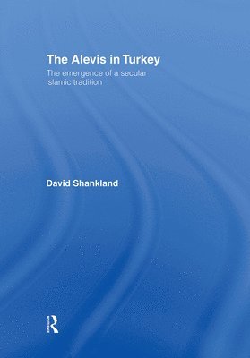bokomslag The Alevis in Turkey