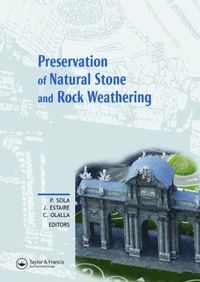 bokomslag Preservation of Natural Stone and Rock Weathering