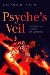 bokomslag Psyche's Veil