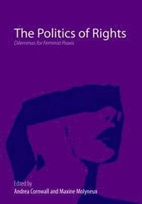 bokomslag The Politics of Rights