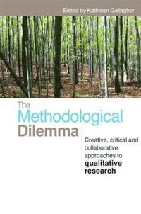 bokomslag The Methodological Dilemma