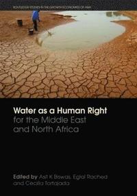bokomslag Water as a Human Right for the Middle East and North Africa