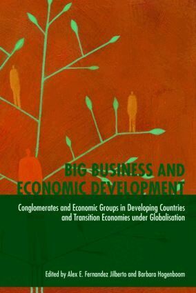 Barbara Hogenboom, Alex E. Fernández Jilberto - Big Business and Economic Development, Häftad