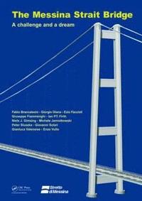bokomslag The Messina Strait Bridge