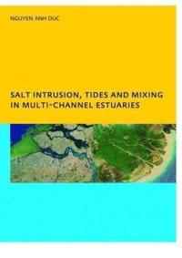 bokomslag Salt Intrusion, Tides and Mixing in Multi-Channel Estuaries