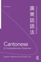 Cantonese: A Comprehensive Grammar 1