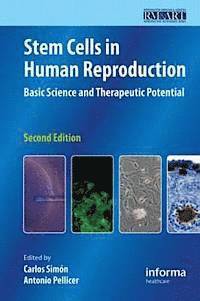 bokomslag Stem Cells in Human Reproduction