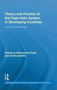 bokomslag Theory and Practice of the Triple Helix Model in Developing Countries