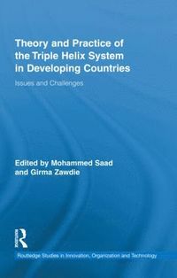 bokomslag Theory and Practice of the Triple Helix Model in Developing Countries