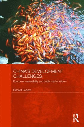 bokomslag China's Development Challenges