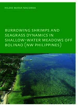Burrowing Shrimps and Seagrass Dynamics in Shallow-Water Meadows off Bolinao (New Philippines)