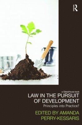 Law in the Pursuit of Development 1