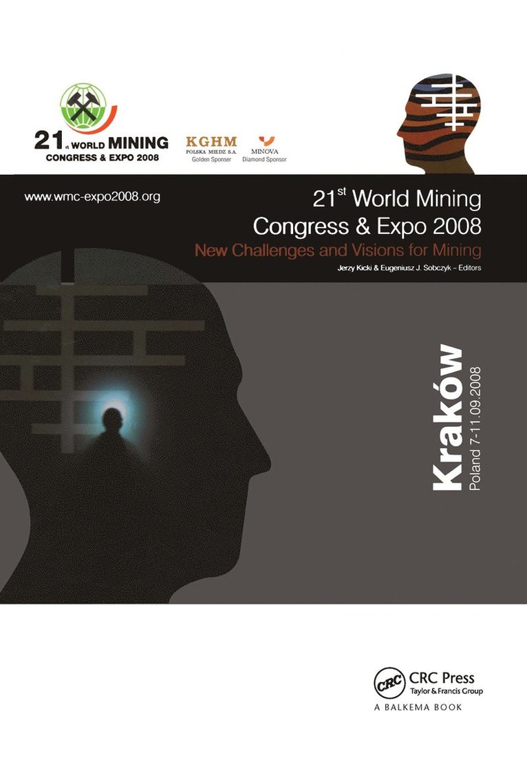 New Challenges and Visions for Mining