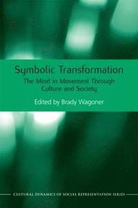 bokomslag Symbolic Transformation
