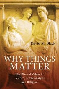 bokomslag Why Things Matter