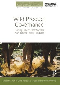 bokomslag Wild Product Governance