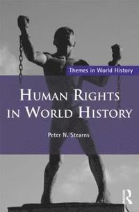 bokomslag Human Rights in World History