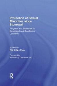 bokomslag Protection of Sexual Minorities since Stonewall