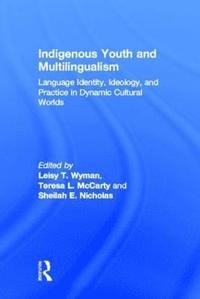 bokomslag Indigenous Youth and Multilingualism