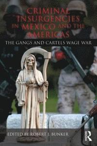 bokomslag Criminal Insurgencies in Mexico and the Americas