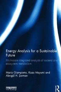 bokomslag Energy Analysis for a Sustainable Future