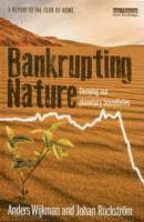 bokomslag Bankrupting Nature