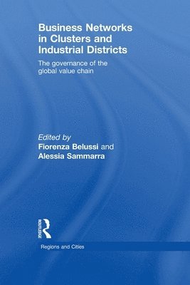 Business Networks in Clusters and Industrial Districts 1