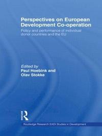 bokomslag Perspectives on European Development Cooperation