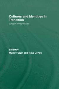 bokomslag Cultures and Identities in Transition