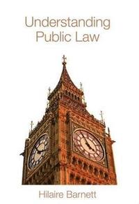bokomslag Understanding Public Law