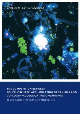 bokomslag The Competition between Polyphosphate-Accumulating Organisms and Glycogen-Accumulating Organisms: Temperature Effects and Modelling