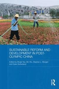 bokomslag Sustainable Reform and Development in Post-Olympic China