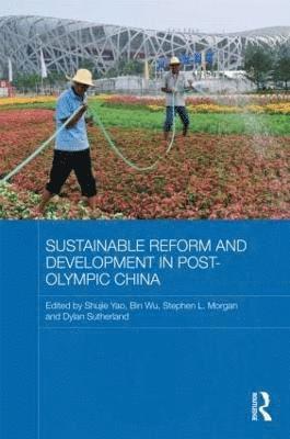 bokomslag Sustainable Reform and Development in Post-Olympic China