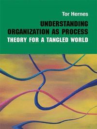 bokomslag Understanding Organization as Process