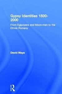 bokomslag Gypsy Identities 1500-2000