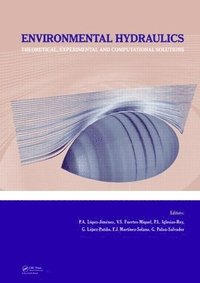 bokomslag Environmental Hydraulics - Theoretical, Experimental and Computational Solutions