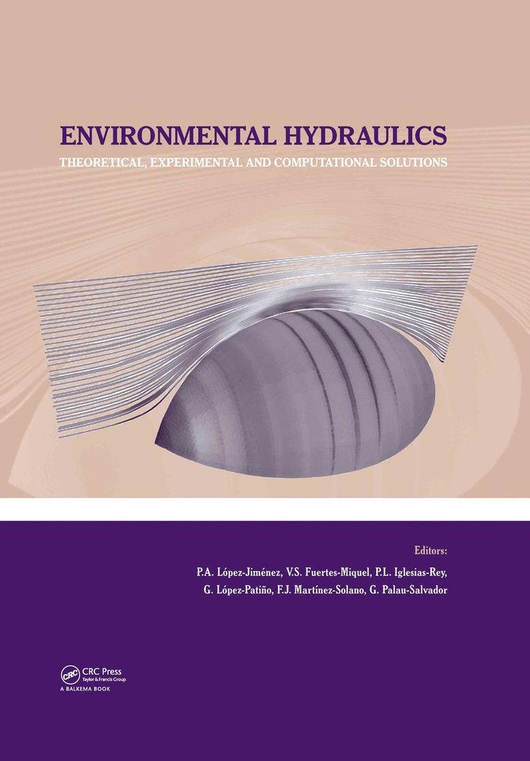 Petra Amparo López Jiménez, V.S. Fuertes-Miquel, P.L. Iglesias-Rey, G. Lopez-Patino, F.J. Martinez-Solano, G. Palau-Salvador, Petra Amparo Lopez Jimenez, V. S. Fuertes-Miquel - Environmental Hydraulics - Theoretical, Experimental and Computational Solutions, Inbunden