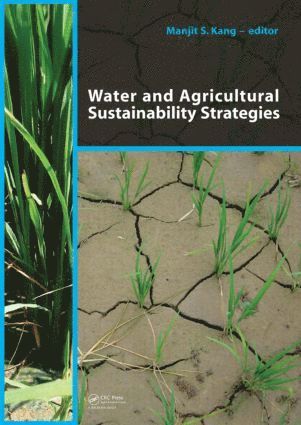 bokomslag Water and Agricultural Sustainability Strategies