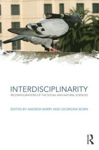 bokomslag Interdisciplinarity