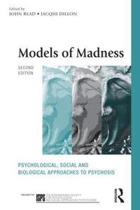 bokomslag Models of Madness