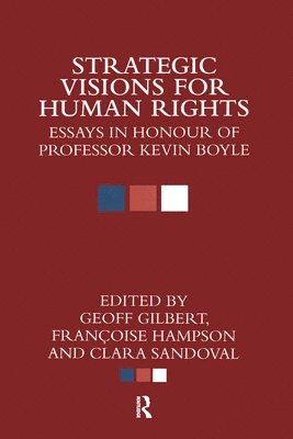Strategic Visions for Human Rights 1